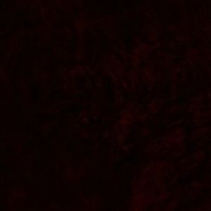 Meet your Posher, Tony